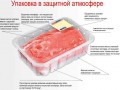 термофом 2